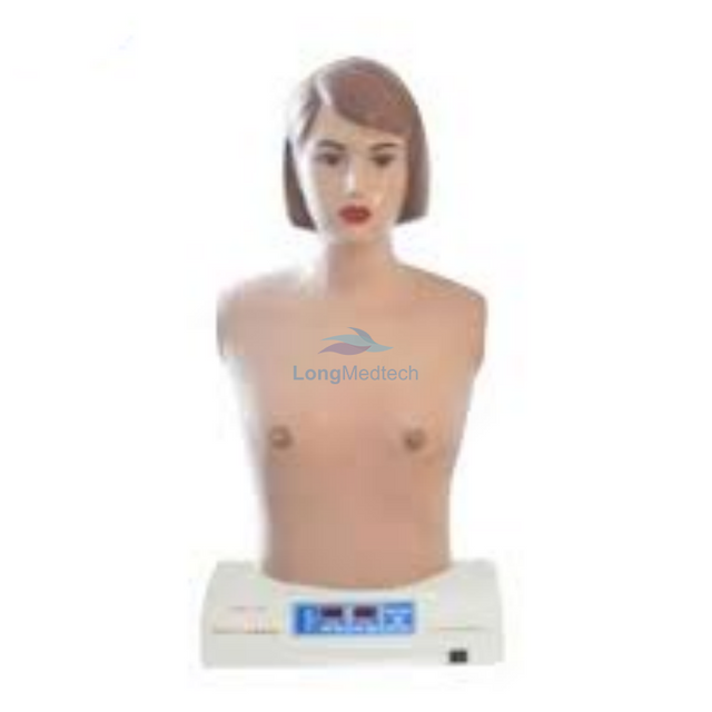 LZB-621 نموذج المحاكاة الطبية لمحاكاة القزم للتدريس