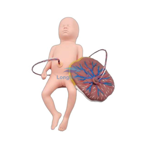 جهاز محاكاة حديثي الولادة LZB-132 NeoNatalie