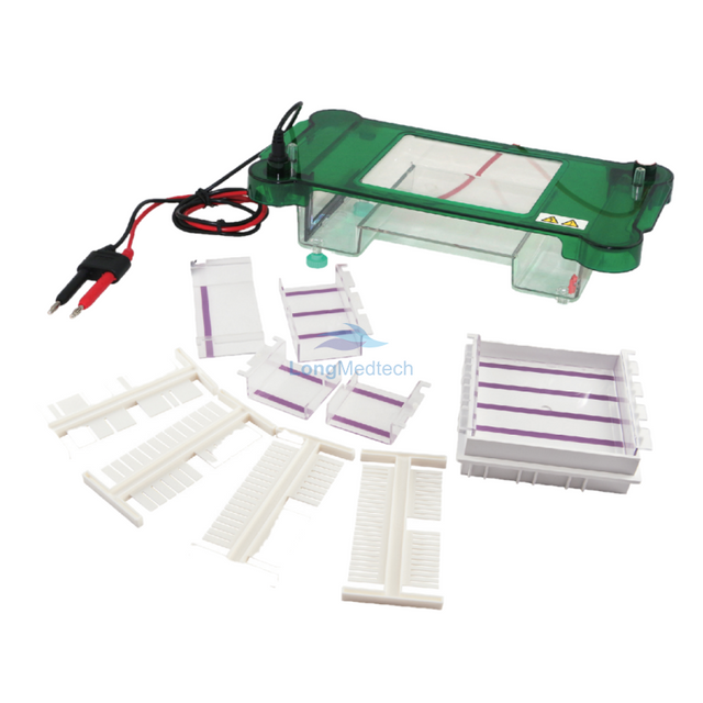Cuve d'&eacute;lectrophor&egrave;se horizontale LSR-2