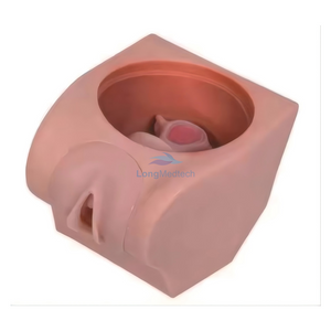 Maniqu&iacute; modelo de pr&aacute;ctica anticonceptiva femenina avanzada LZB-502 en la ense&ntilde;anza de ginecolog&iacute;a