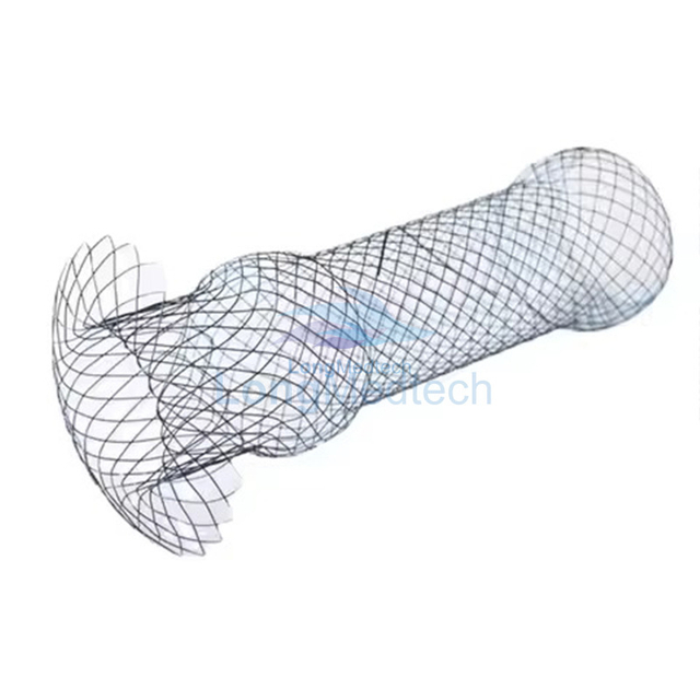 Stent esof&aacute;gico biliar
