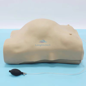 Maniqu&iacute; electr&oacute;nico avanzado de examen para mujeres embarazadas LZB-FW2