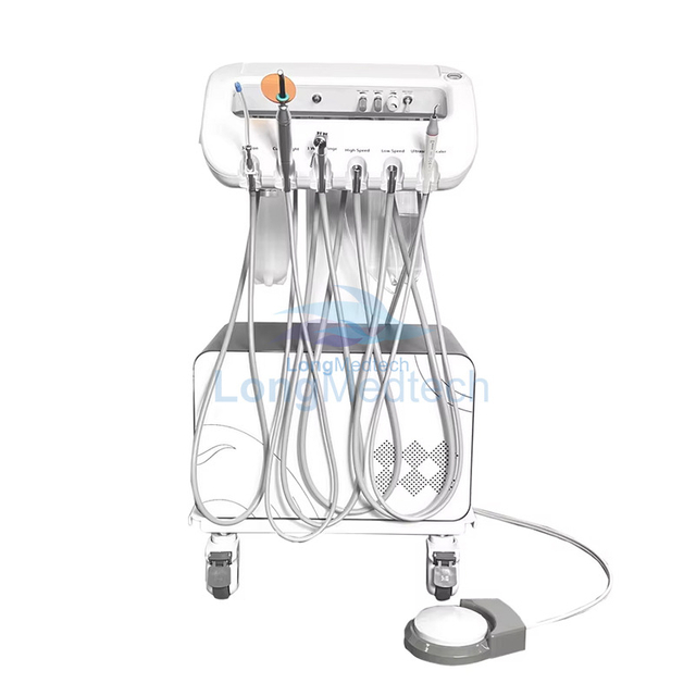 Traitement buccal dentaire v&eacute;t&eacute;rinaire LVMD-4