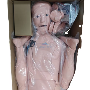 LZB-H16 Анагаахын шинжлэх ухааны боловсролын бүрэн ажиллагаатай эмнэлгийн гэмтэл сувилахуйн сургалтын маникин шархны симуляцийн иж бүрдэл