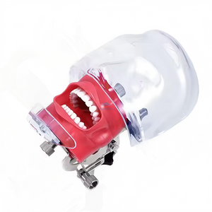 العلوم الطبية محاكاة طب الأسنان