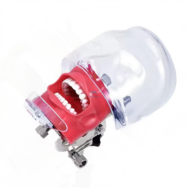 العلوم الطبية محاكاة طب الأسنان