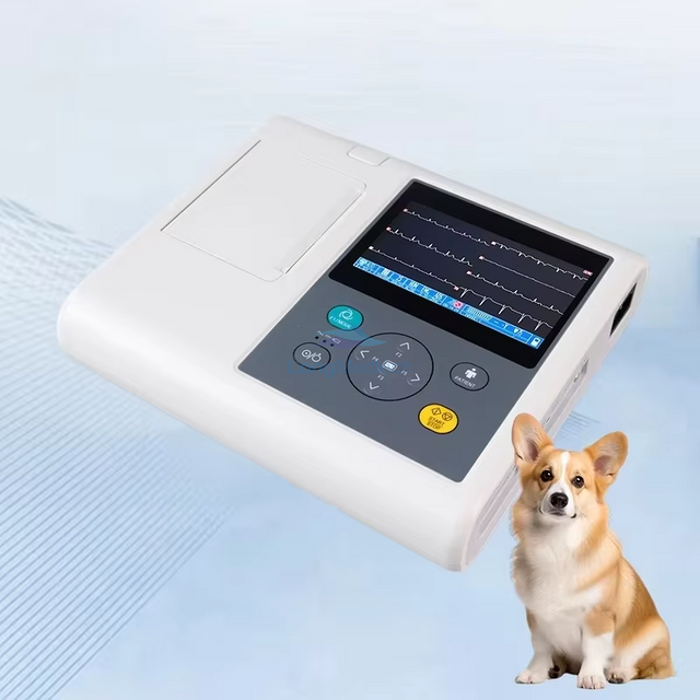 Appareil ECG v&eacute;t&eacute;rinaire LZK-VE3